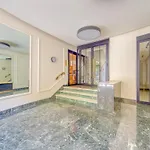 Champs Elysees 1br Prime Location Renovated Apartament